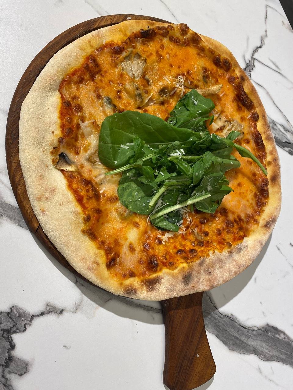 PİZZA FUNGI